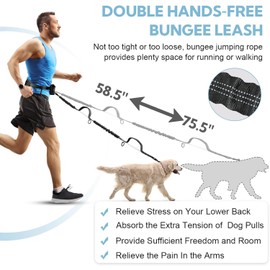 Vsgaalge Hands Free Dog Leash with Pouch, Retractable Bungee Waist Leash with Dual Padded Handles for Medium & Large Dog Training Walking Running Hiking Jogging (Double Leash)