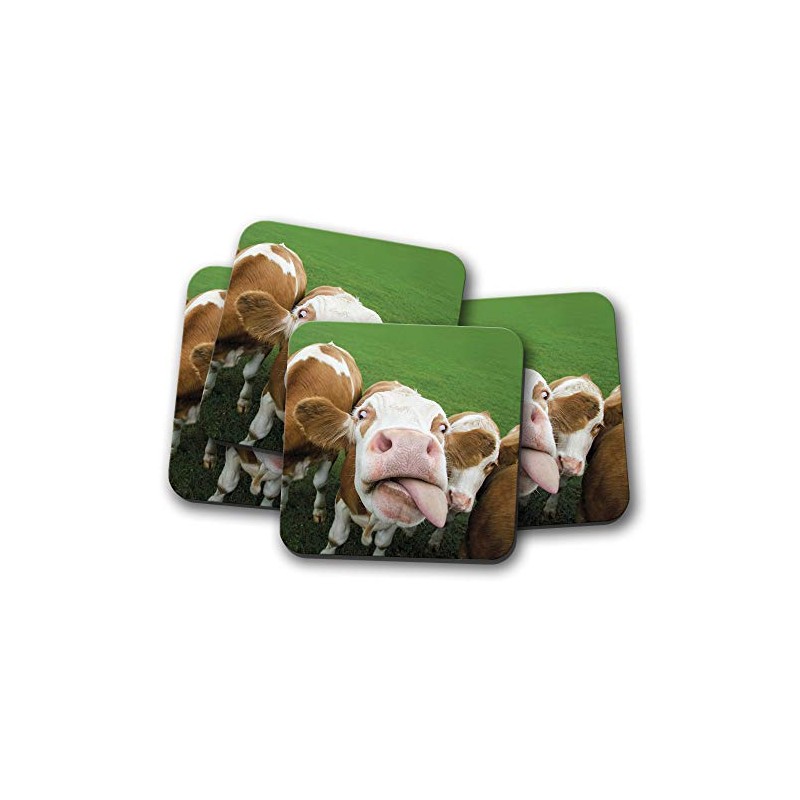 4 Set - Silly Cow Coaster - Cattle Cows Funny