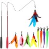 CA&T Interactive Cat Toys - Retractable Wand Toy and Feather