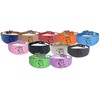 Dog Collar Italian Greyhound Collar Whippet Collar Greyhound Collar Padded