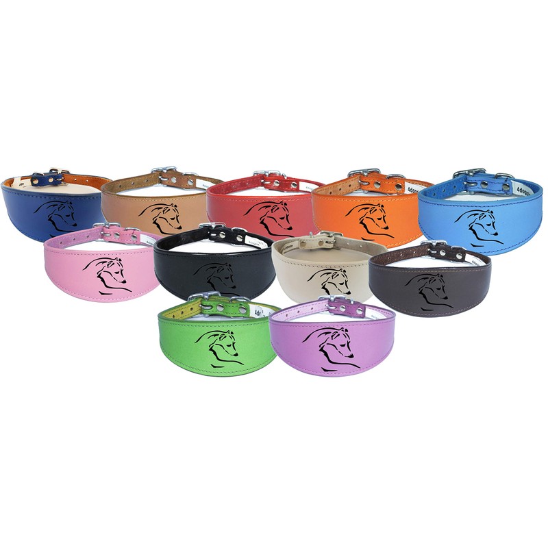 Dog Collar Italian Greyhound Collar Whippet Collar Greyhound Collar Padded
