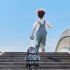 Backpack Trolley, Wheeled Cart Aluminum Alloy, Folding Trolley Cart for