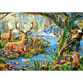 Castorland CSB52929 Puzzle, Various
