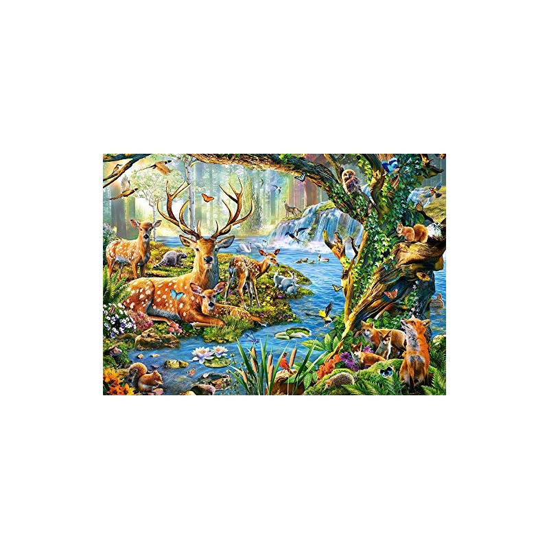 Castorland CSB52929 Puzzle, Various