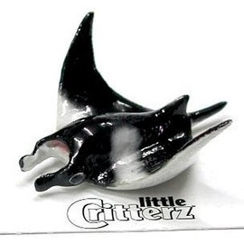 Little Critterz "Grace" Manta Ray