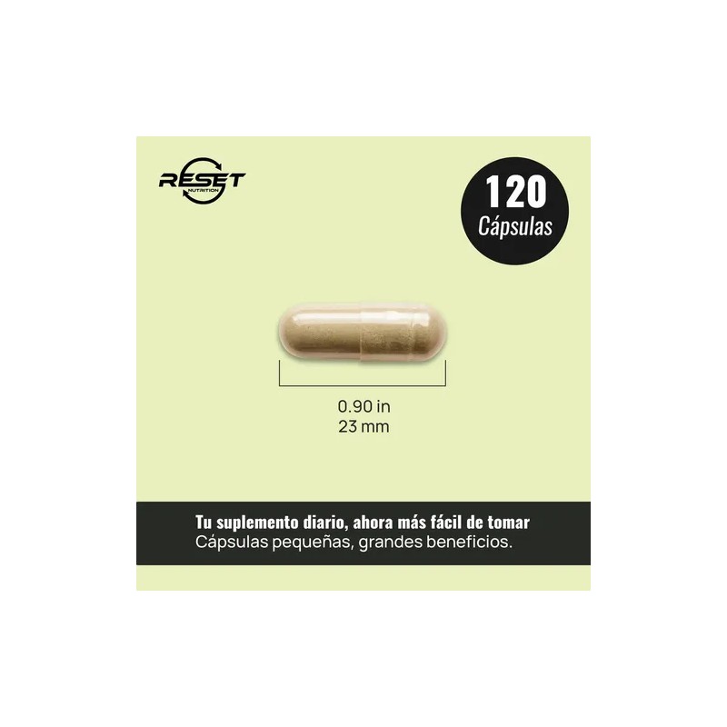 Reset Nutrition Chanca Piedra 1200mg Salud Renal 120 Cáps Sabor