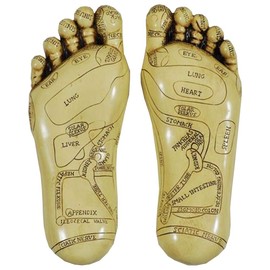 Arrow-Lane-Gifts Resin Feet by Tina Tarrant 22.5cm High Wall Mount Realistic Home Decor Sculpture