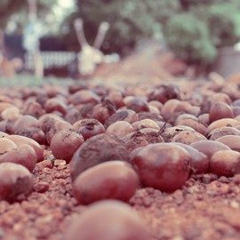 Naissance Shea Butter (No. 305) - 250g - Pure, Natural, Refined - Perfect For DIY Beauty Recipes, Body, Face, Hair Moisturiser - Hydrates & Protects Dry Skin