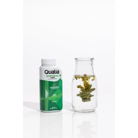 Qualia Synthetic Fabric Dye, Easy to Use, Perfect for Synthetic Fabrics: Polyester, Spandex, Nylon, and More, Ultra-Concentrated Colors for Vibrant Results, Green, 1 Pack