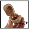 Love bug in Box Novelty Gift - Bugs Legs Wiggle