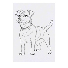 Azeeda 'Jack Russell Terrier' Temporäres Tattoo - Hautfreundlicher & Ungiftiger Abziehbild · Wasserfest (TO00085049)