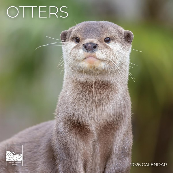 2026 Wall Calendar | 12" x 24" Open | Nature