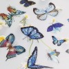Blue Butterfly 나비 스티커 40P 세트 파란나비 Butterfly Sticker 40P