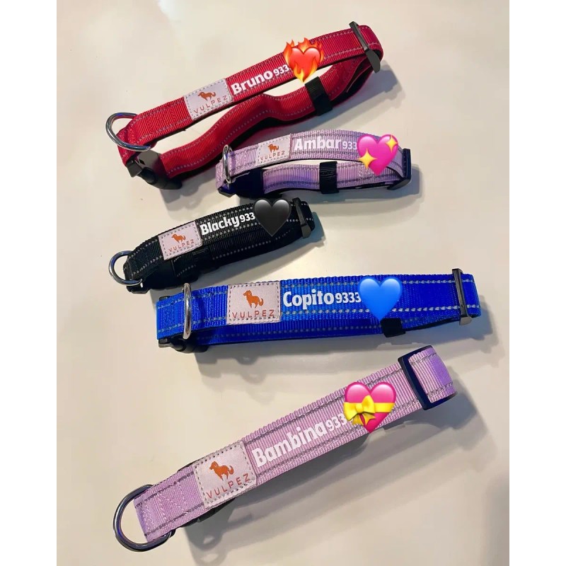 Vulpez Collar Perro Personalizable Ajustable Colores Gato