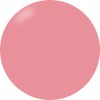 PRESTO 098 Color Gel Brush-on Color Gel 0.4 oz (10