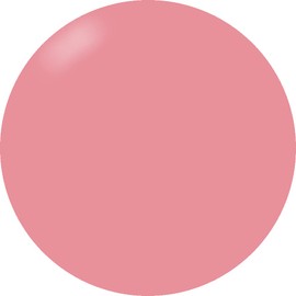 PRESTO 098 Color Gel Brush-on Color Gel 0.4 oz (10 g) UV/LED Compatible