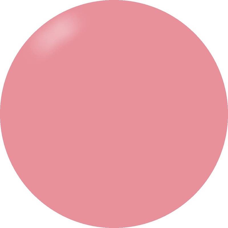 PRESTO 098 Color Gel Brush-on Color Gel 0.4 oz (10
