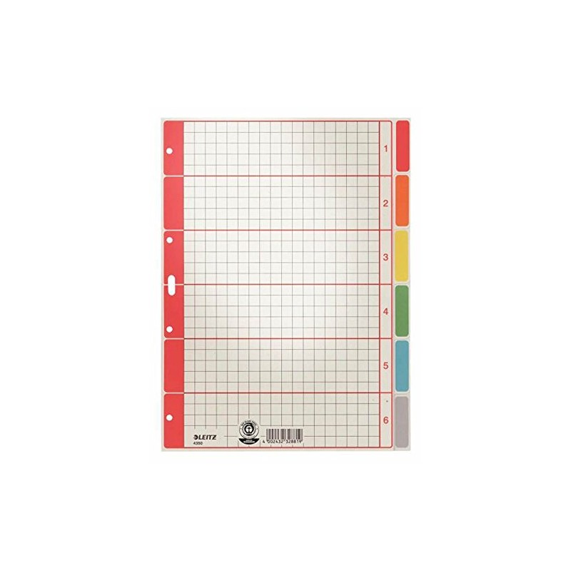 Esselte-Leitz with Cardboard White A4 6 sheets (Grey)