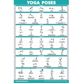Palace Learning QuickFit Yoga Position Exercise Poster - Yoga Asana Poses Chart - Laminated, 18" x 27"
