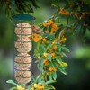 Suet Ball Feeder, 9.5 Inch Suet Bird Feeders for Outdoors