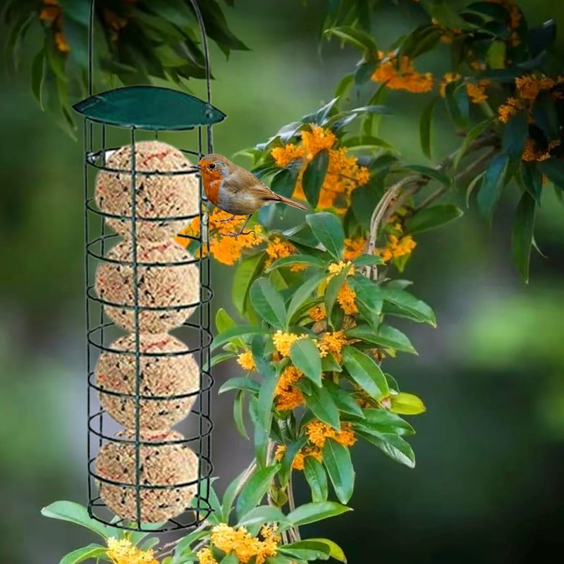Suet Ball Feeder, 9.5 Inch Suet Bird Feeders for Outdoors