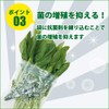 [Keep Vegetables Fresh] Vegetable Storage Bags, Mamara Clean, Freshness Keeper,