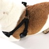 AKC Striped Step-in Dog Harness – No Pull Adjustable Vest