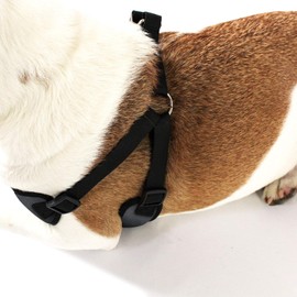 AKC Striped Step-in Dog Harness – No Pull Adjustable Vest with Dual D-Rings, Easy On/Off – Small, Medium & Large Sizes in Black, Gray, Navy & Red