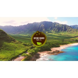 Nature Source Coffee Espresso Blend Coffee | Organic | Dark Roast | California Fresh Roasted - Espresso, 2lbs, 1