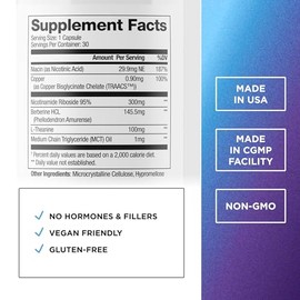 DR. EMIL NUTRITION NAD+ Boost - Suplemento de ribósido de nicotinamida - Apoya la energía celular, la longevidad y el envejecimiento saludable - Sin O