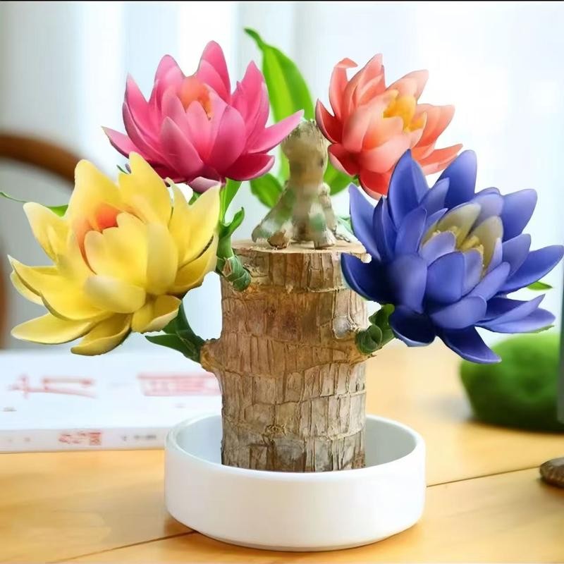 Spin Mop Head Replacement & Shower Floor Scrubber，Compatible with Ocedar