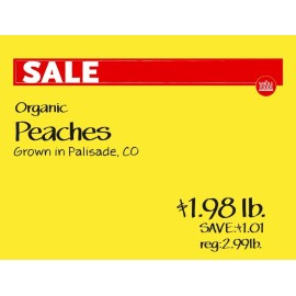 TerraSlate Paper 8 MIL 8.5" x 11" Waterproof Laser Printer/Copy Paper, White Printer Pap...