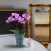 W&W Orchid Pot with Holes and Saucer for Repotting, 6