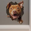 Pitbull Decal - Wall Hole Dog Sticker with 3D Effect