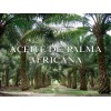 Abreiko Aceite De Palma Africana Cubeta 19 Litros