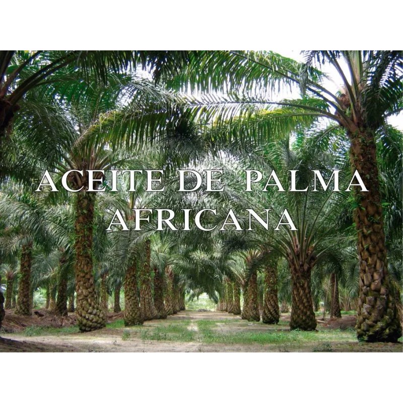 Abreiko Aceite De Palma Africana Cubeta 19 Litros