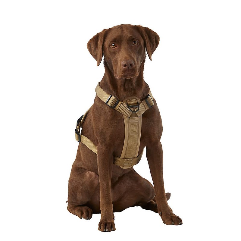 KONG Ultra Durable Waste Bag Harness (Medium, Tan)
