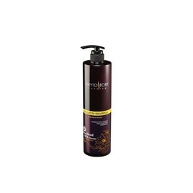 Galleria Phytostory Premium Shampoo for Oily Scalp 500ml / 갤러리아 피토스토리프리미엄지성두피샴푸500ml