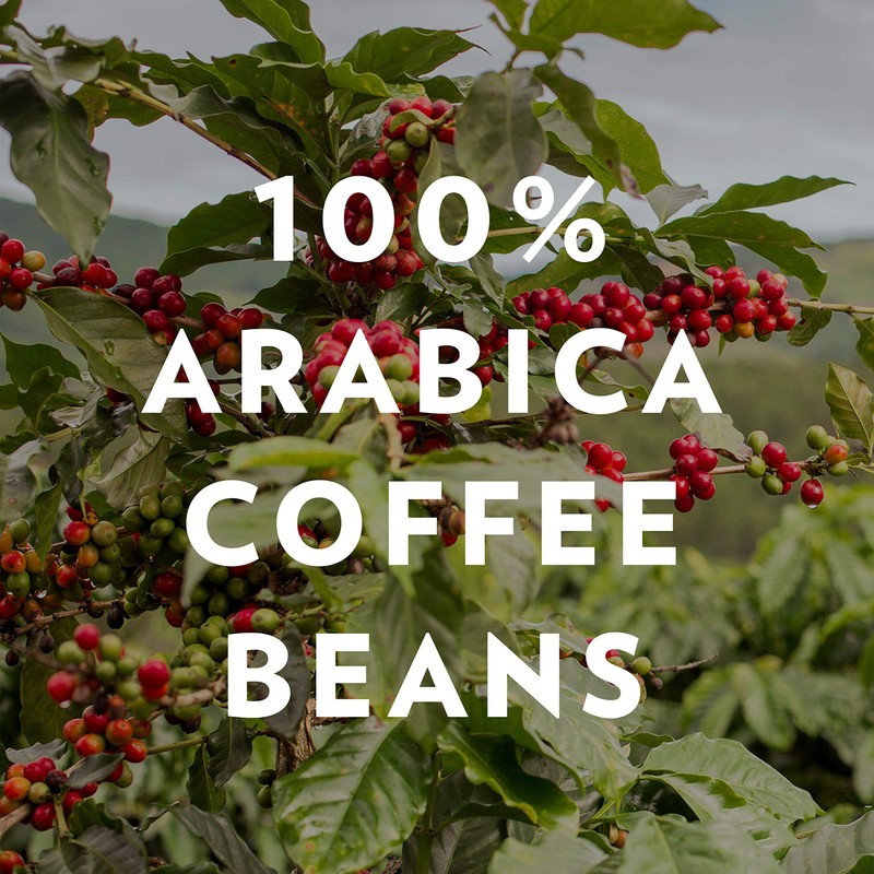 Community Coffee Cafe Special Decaf Ground Coffee, Medium Dark Roast,
