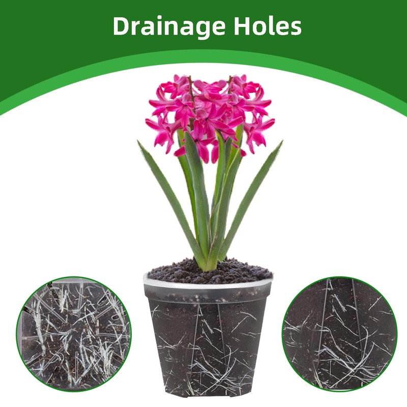 AONYIYI Clear Orchid Pots,5 Packs 6 Inch Transparent Pots for