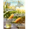 Honjien Tea Pack of Hokkaido Corn Tea, Large Capacity, Honjien
