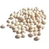 The Bakery Company Bean Pies 9 Inch– Freshly Baked &