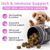 POPPAW Itch & Immune Support for Dogs, Herbal Supplements for