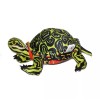 Wildlife Artists Red-Bellied Turtle Plush Toy Wildlife Artists 7"