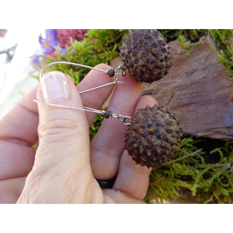 ⊱✿ EXOTISCHE BAUMNUSS OHRRINGE IN DUNKELBRAUN✿⊰⊹ lange Kidney - Haken