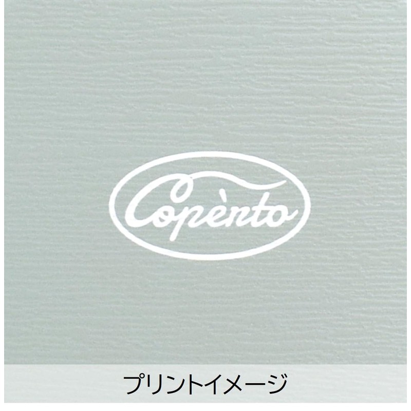 Sabu Copelt 404726 Bowl Lunch for Tableware, Mint, 21.8 fl