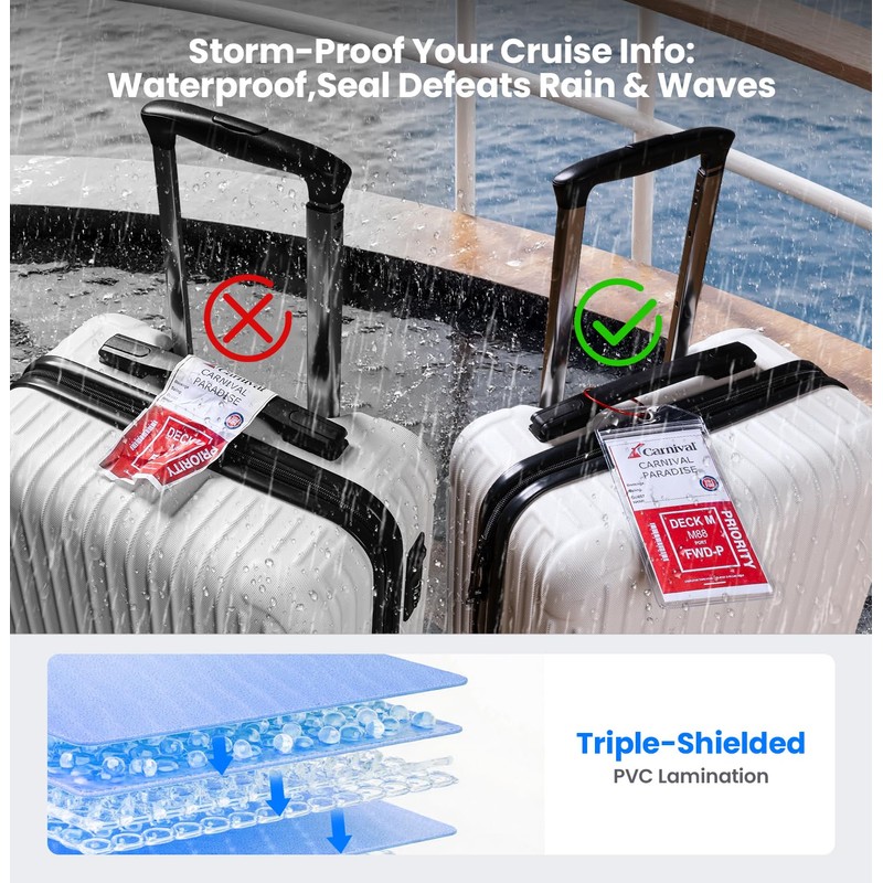 Cruise Ship Essentials 2025 Must Haves