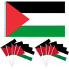 Palestine Flag 1pcs(3x5ft) and Palestine Flags on Sticks 10pcs(14x21cm), Large