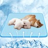 Paerduo Pet Cooling Mat, For Dogs and Cats, For Summer,