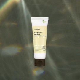 Dajayeon 다자연 어성초 진정 수딩 크림 75ml Dajayeon Oseongcho Calming Soothing Cream 75ml